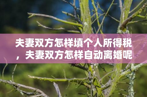 夫妻双方怎样填个人所得税，夫妻双方怎样自动离婚呢
