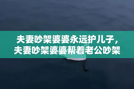 夫妻吵架婆婆永远护儿子，夫妻吵架婆婆帮着老公吵架