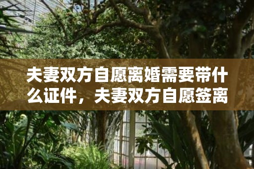 夫妻双方自愿离婚需要带什么证件，夫妻双方自愿签离婚协议