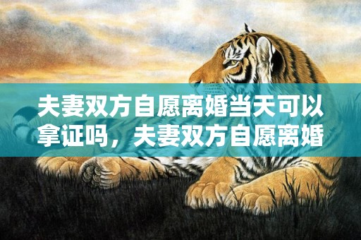 夫妻双方自愿离婚当天可以拿证吗，夫妻双方自愿离婚的什么