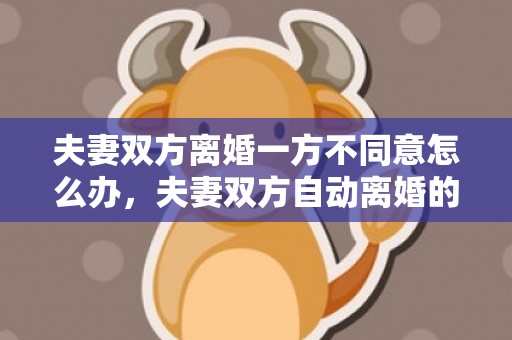 夫妻双方离婚一方不同意怎么办，夫妻双方自动离婚的条件