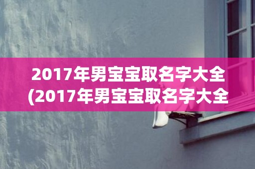 2017年男宝宝取名字大全(2017年男宝宝取名字大全)