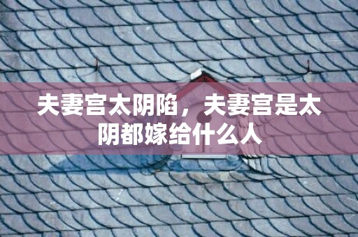 夫妻宫太阴陷，夫妻宫是太阴都嫁给什么人