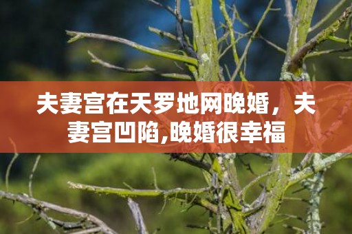 夫妻宫在天罗地网晚婚，夫妻宫凹陷,晚婚很幸福