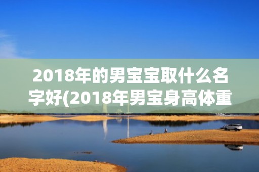 2018年的男宝宝取什么名字好(2018年男宝身高体重)