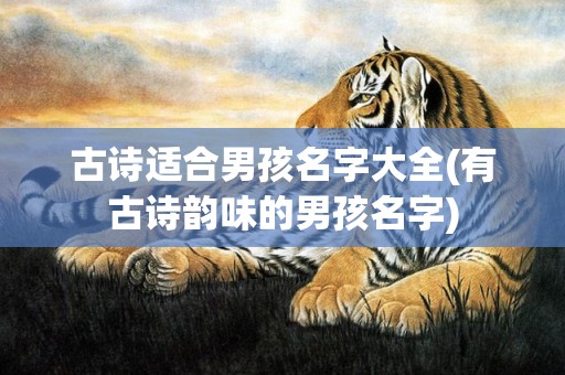 古诗适合男孩名字大全(有古诗韵味的男孩名字)