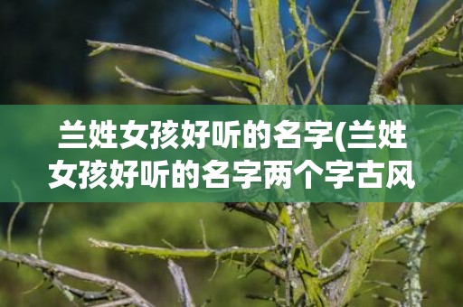 兰姓女孩好听的名字(兰姓女孩好听的名字两个字古风)