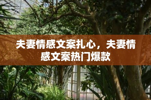 夫妻情感文案扎心，夫妻情感文案热门爆款