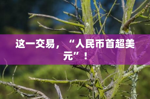 这一交易，“人民币首超美元”！