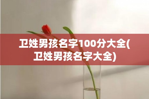 卫姓男孩名字100分大全(卫姓男孩名字大全)