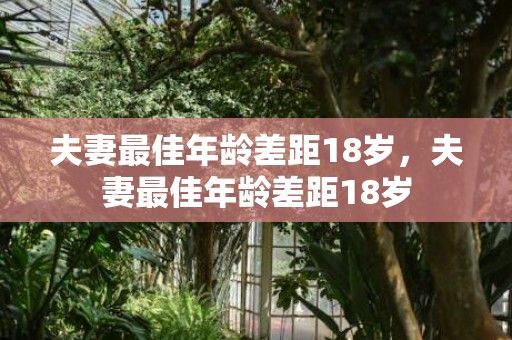 夫妻最佳年龄差距18岁，夫妻最佳年龄差距18岁