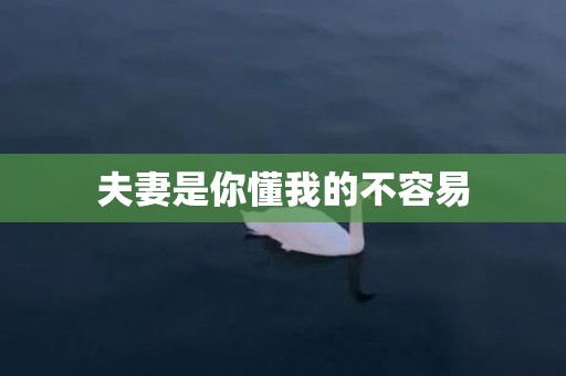 夫妻是你懂我的不容易