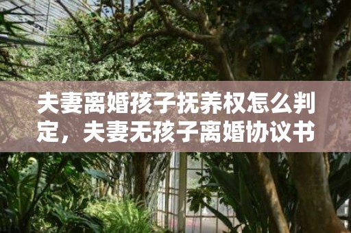 夫妻离婚孩子抚养权怎么判定，夫妻无孩子离婚协议书
