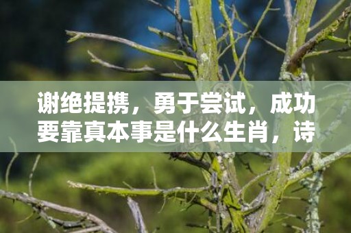 谢绝提携，勇于尝试，成功要靠真本事是什么生肖，诗词解答落实