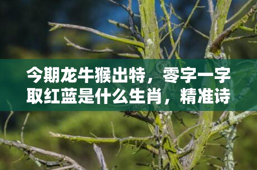 今期龙牛猴出特，零字一字取红蓝是什么生肖，精准诗词落实
