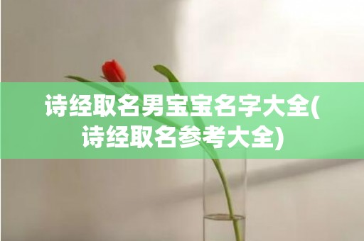 诗经取名男宝宝名字大全(诗经取名参考大全)