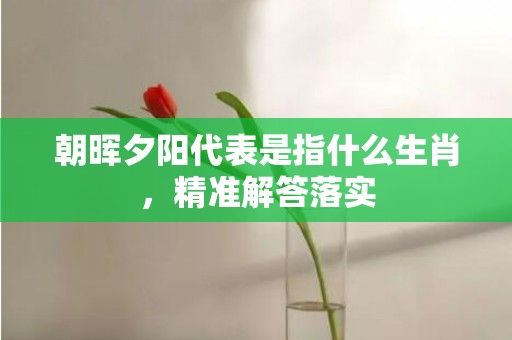 朝晖夕阳代表是指什么生肖，精准解答落实