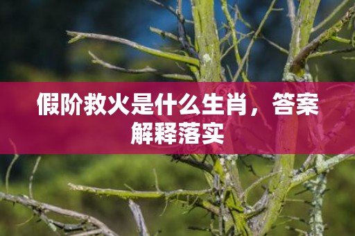 假阶救火是什么生肖，答案解释落实