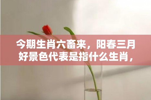 今期生肖六畜来，阳春三月好景色代表是指什么生肖，精准分析落实