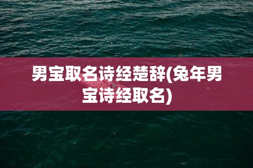 男宝取名诗经楚辞(兔年男宝诗经取名)