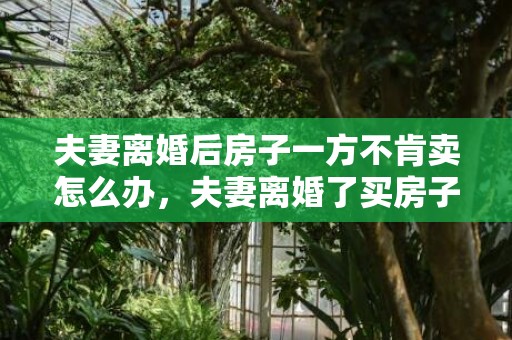 夫妻离婚后房子一方不肯卖怎么办，夫妻离婚了买房子怎么办理