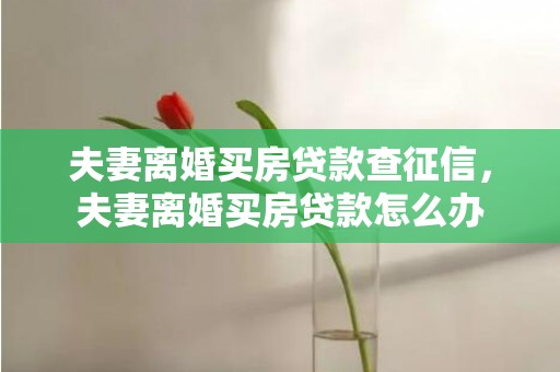 夫妻离婚买房贷款查征信，夫妻离婚买房贷款怎么办