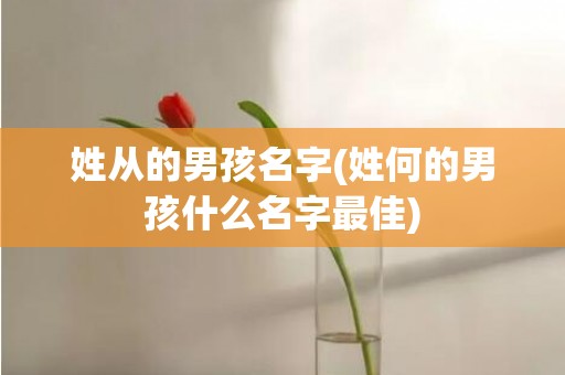 姓从的男孩名字(姓何的男孩什么名字最佳)