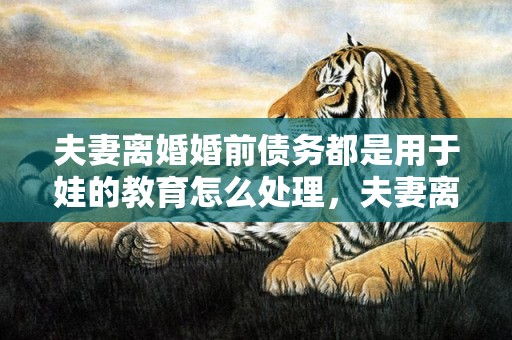 夫妻离婚婚前债务都是用于娃的教育怎么处理，夫妻离婚,婚前债务怎么办