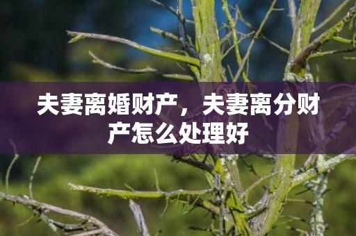 夫妻离婚财产，夫妻离分财产怎么处理好