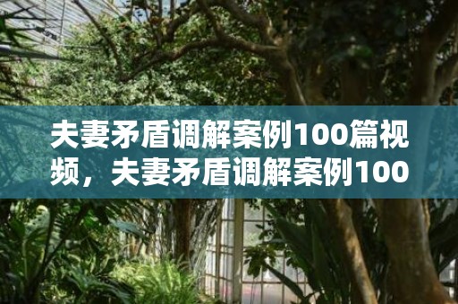 夫妻矛盾调解案例100篇视频，夫妻矛盾调解案例100篇