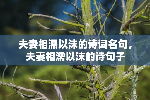 夫妻相濡以沫的诗词名句，夫妻相濡以沫的诗句子