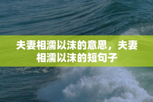 夫妻相濡以沫的意思，夫妻相濡以沫的短句子