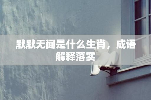默默无闻是什么生肖，成语解释落实