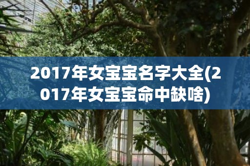 2017年女宝宝名字大全(2017年女宝宝命中缺啥)