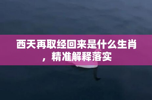 西天再取经回来是什么生肖，精准解释落实