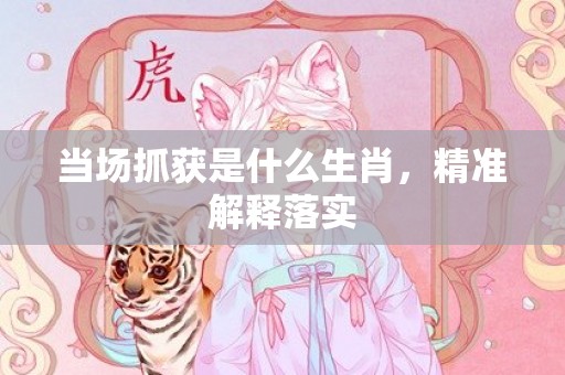当场抓获是什么生肖，精准解释落实