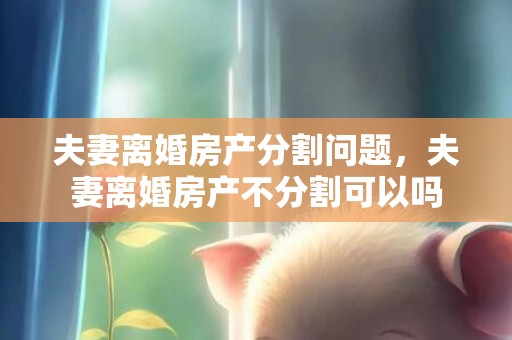 夫妻离婚房产分割问题，夫妻离婚房产不分割可以吗