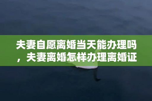 夫妻自愿离婚当天能办理吗，夫妻离婚怎样办理离婚证明