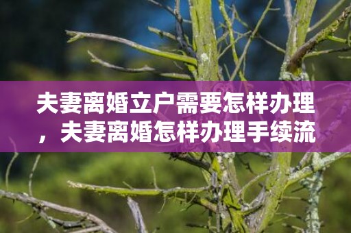 夫妻离婚立户需要怎样办理，夫妻离婚怎样办理手续流程