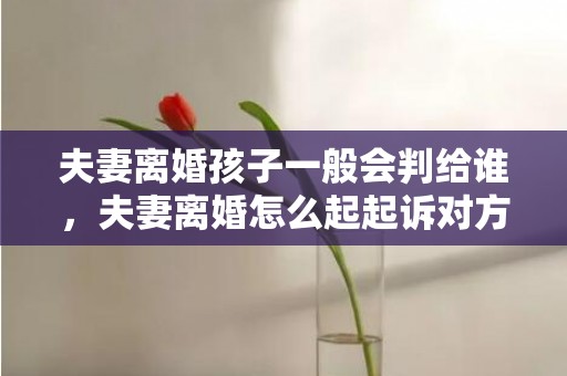 夫妻离婚孩子一般会判给谁，夫妻离婚怎么起起诉对方