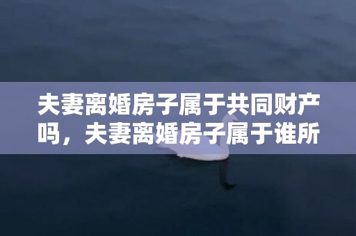 夫妻离婚房子属于共同财产吗，夫妻离婚房子属于谁所有