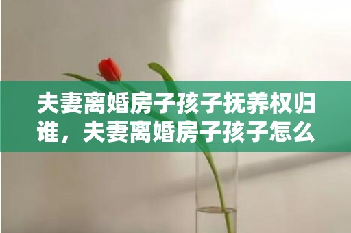 夫妻离婚房子孩子抚养权归谁，夫妻离婚房子孩子怎么判