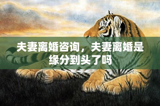 夫妻离婚咨询，夫妻离婚是缘分到头了吗