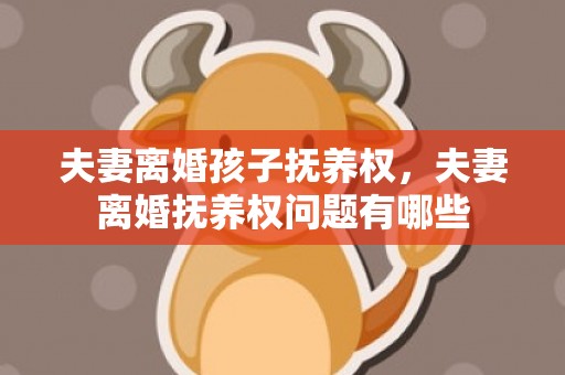 夫妻离婚孩子抚养权，夫妻离婚抚养权问题有哪些
