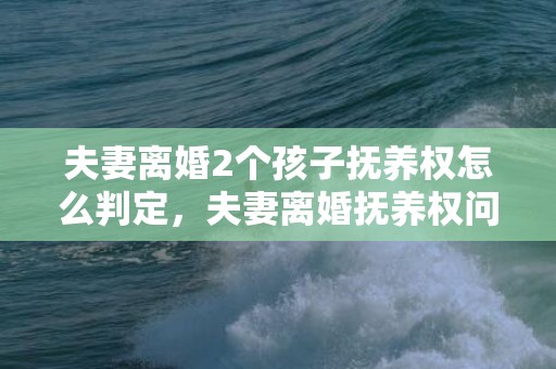 夫妻离婚2个孩子抚养权怎么判定，夫妻离婚抚养权问题咨询