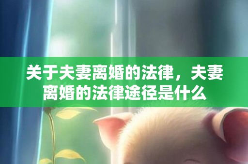 关于夫妻离婚的法律，夫妻离婚的法律途径是什么