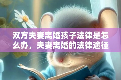 双方夫妻离婚孩子法律是怎么办，夫妻离婚的法律途径包括