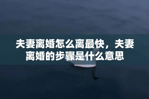 夫妻离婚怎么离最快，夫妻离婚的步骤是什么意思