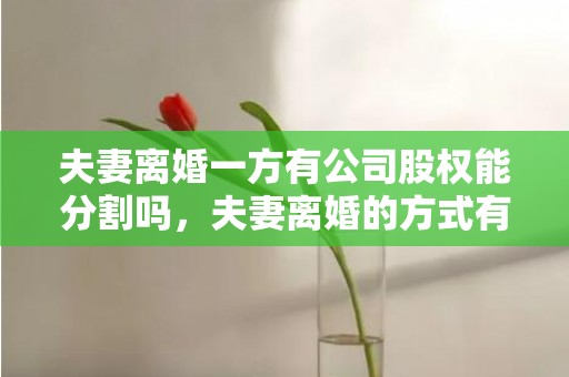 夫妻离婚一方有公司股权能分割吗，夫妻离婚的方式有哪几种呢