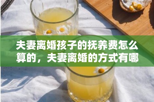 夫妻离婚孩子的抚养费怎么算的，夫妻离婚的方式有哪些种类